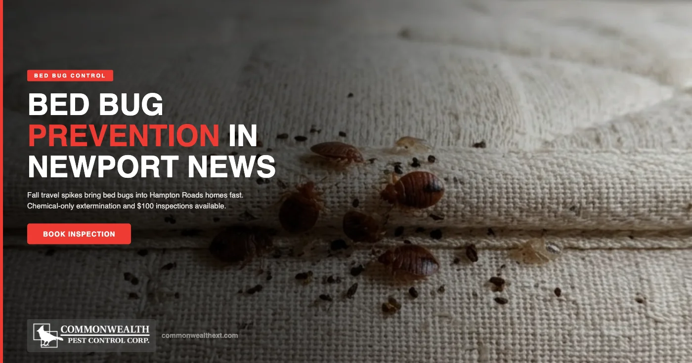 Bed Bug Prevention in Newport News, VA: What Hampton Roads Families Should Watch for This Fall