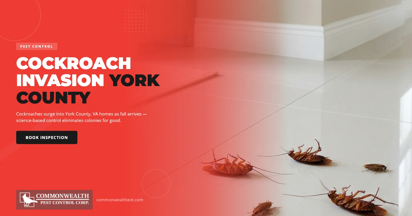 Why Cockroaches Invade York County, VA Homes in Fall — and the Science That Stops Them