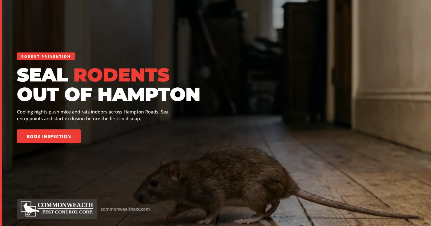 Fall Rodent Prevention in Hampton, VA: How to Seal Your Home Before Mice Move In