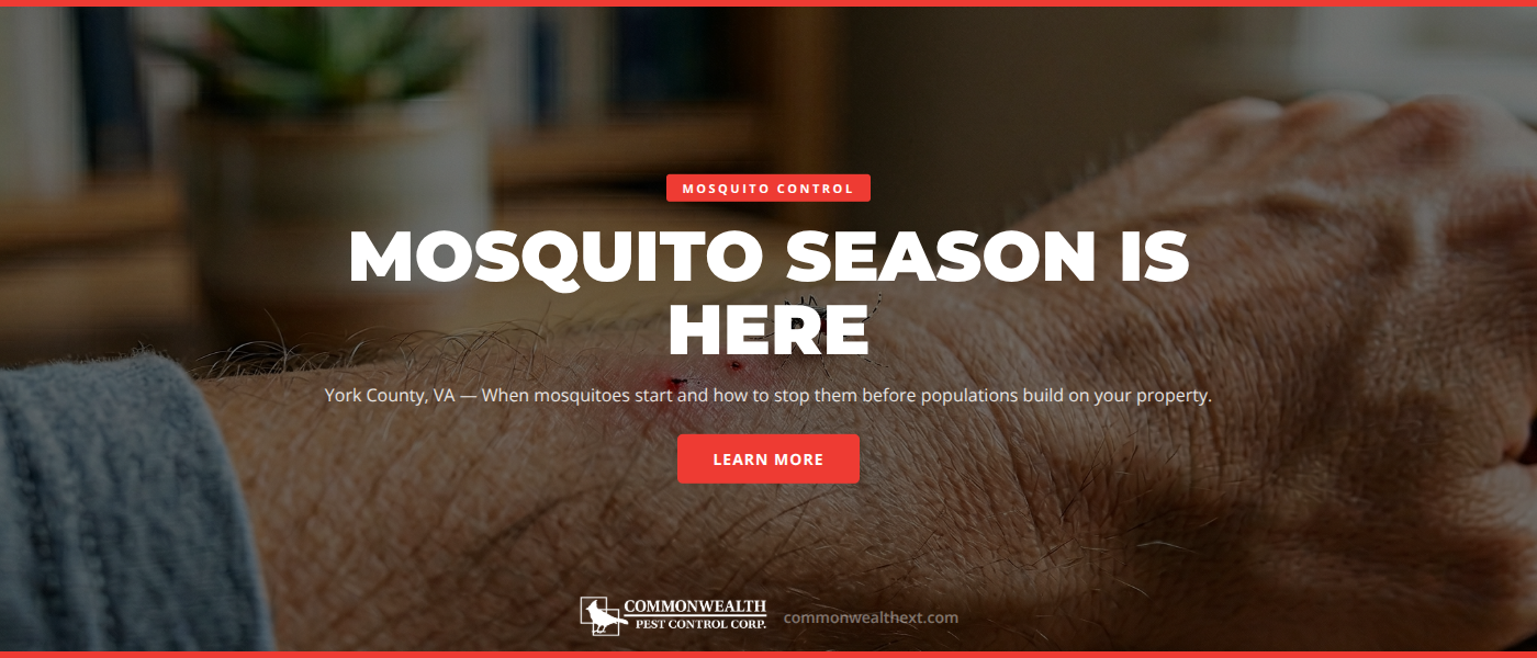Mosquito Season in York County, VA Exterminators